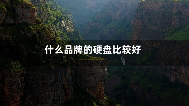 什么品牌的硬盘比较好