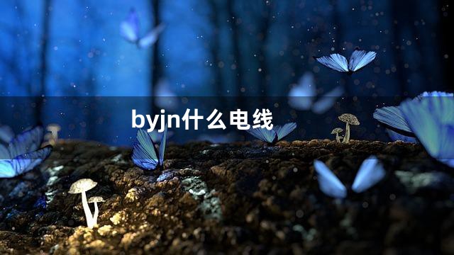 byjn什么电线
