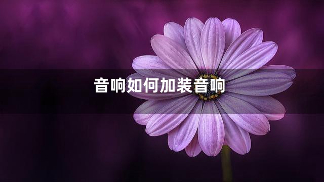 音响如何加装音响