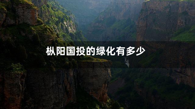 枞阳国投的绿化有多少