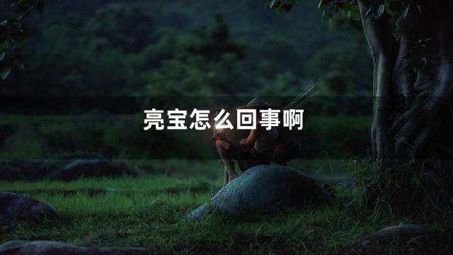 亮宝怎么回事啊