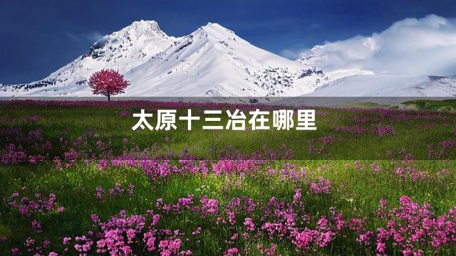 太原十三冶在哪里