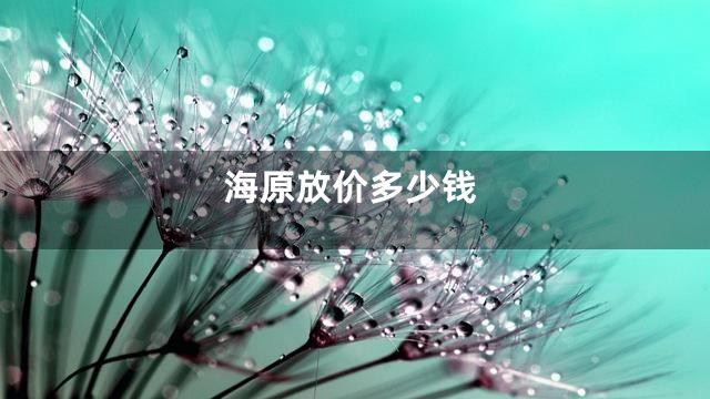 海原放价多少钱