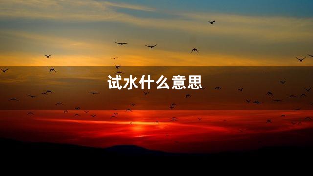 试水什么意思