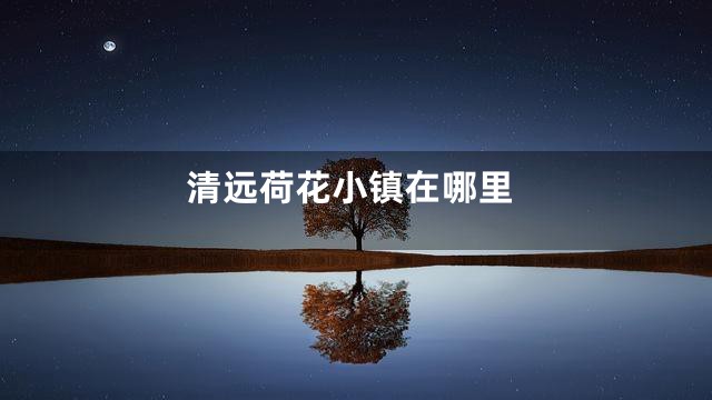 清远荷花小镇在哪里