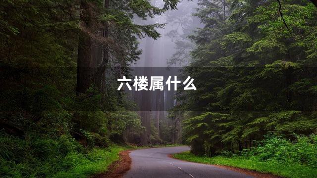 六楼属什么