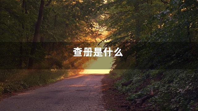 查册是什么