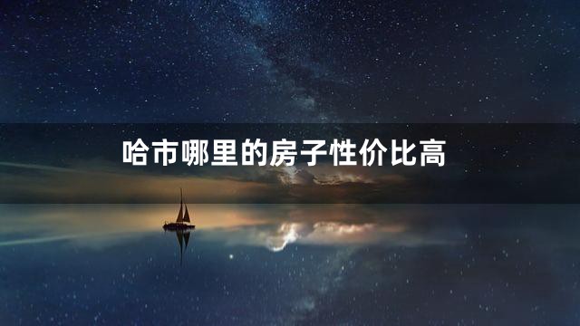 哈市哪里的房子性价比高