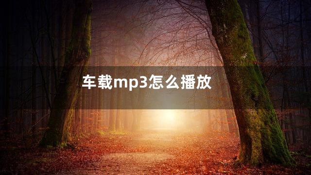 车载mp3怎么播放