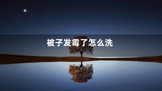 被子发霉了怎么洗