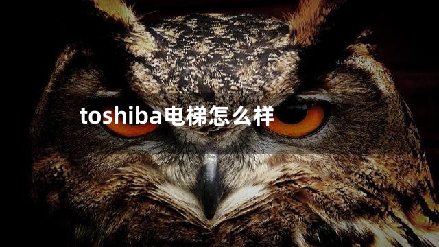 toshiba电梯怎么样