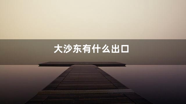 大沙东有什么出口