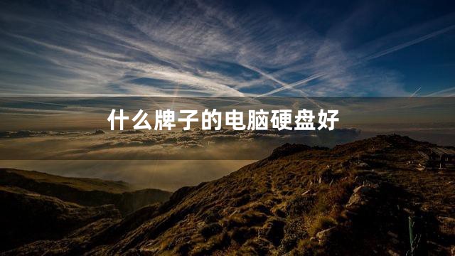 什么牌子的电脑硬盘好