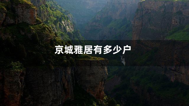 京城雅居有多少户
