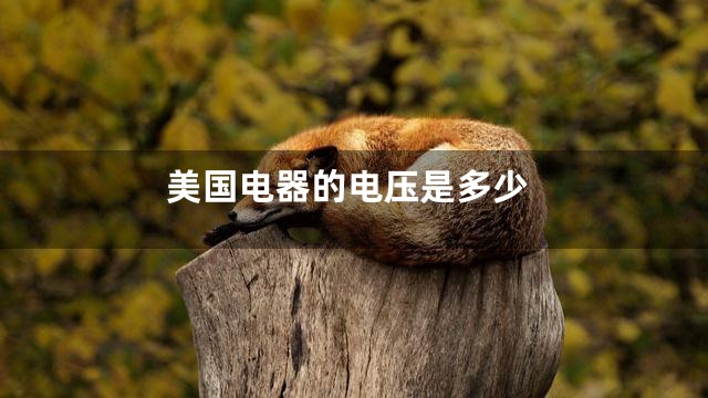 美国电器的电压是多少