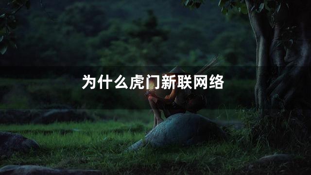 为什么虎门新联网络