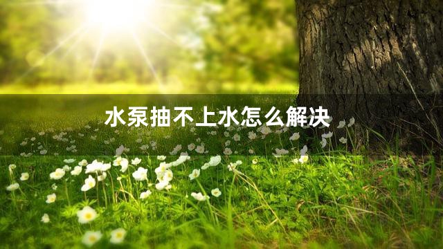 水泵抽不上水怎么解决