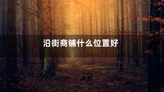 沿街商铺什么位置好