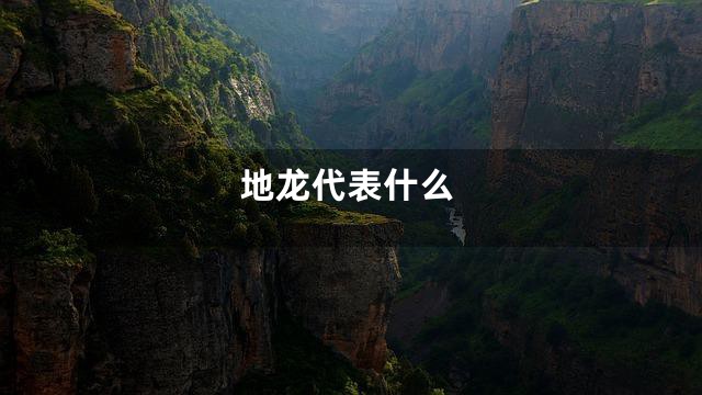 地龙代表什么