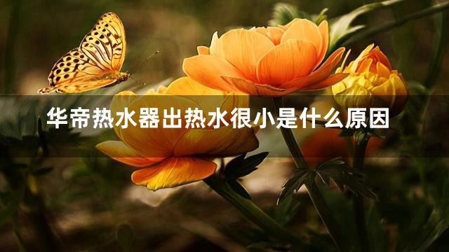 华帝热水器出热水很小是什么原因