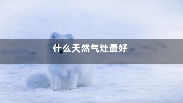 什么天然气灶最好
