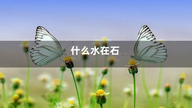 什么水在石