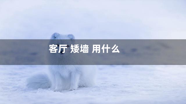 客厅 矮墙 用什么