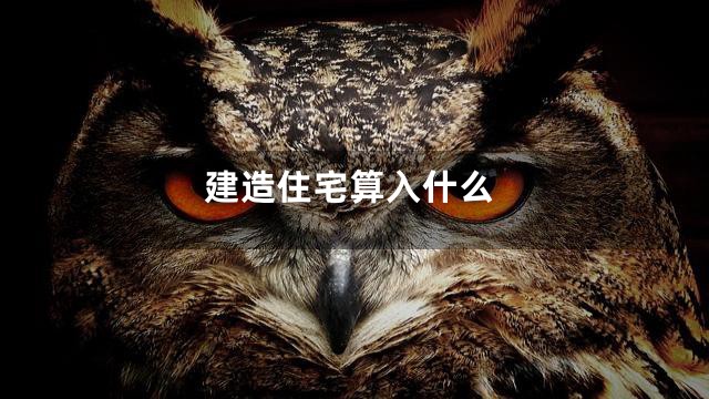 建造住宅算入什么