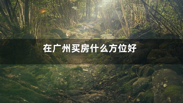 在广州买房什么方位好