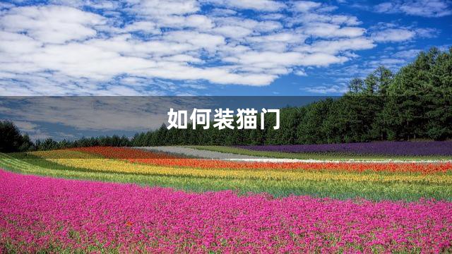 如何装猫门