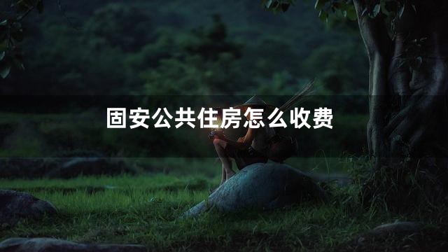 固安公共住房怎么收费