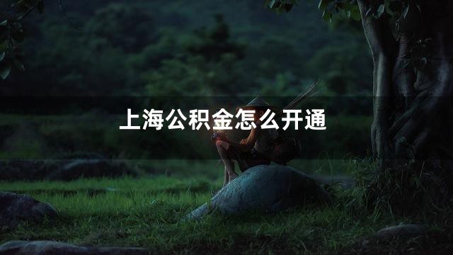 上海公积金怎么开通