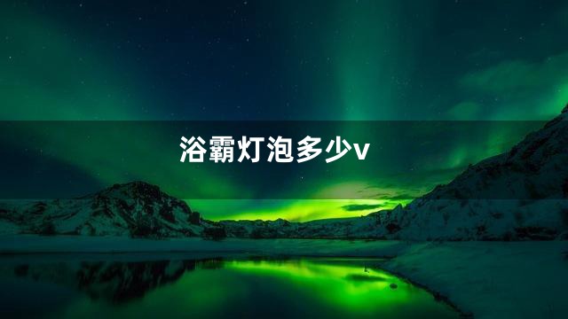 浴霸灯泡多少v