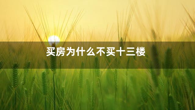 买房为什么不买十三楼