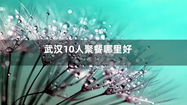 武汉10人聚餐哪里好