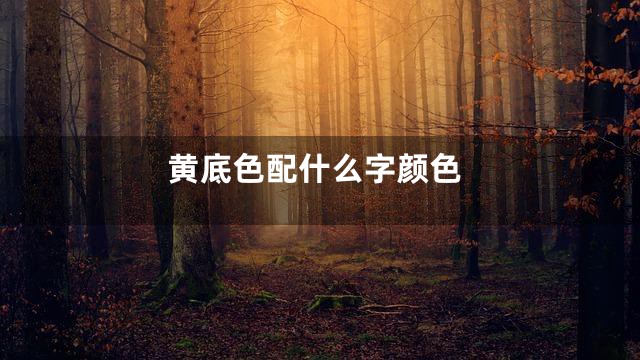 黄底色配什么字颜色