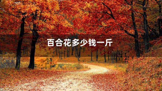 百合花多少钱一斤