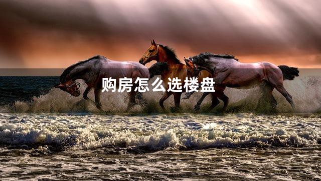 购房怎么选楼盘