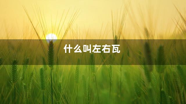 什么叫左右瓦