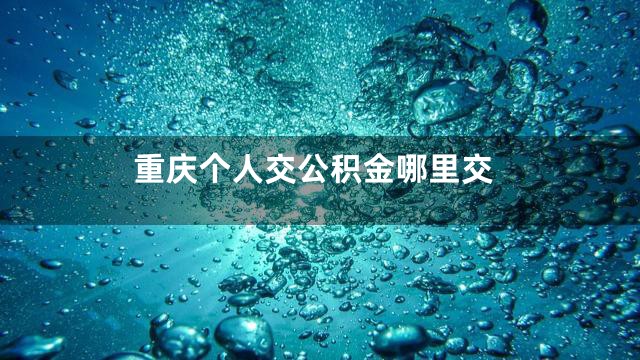 重庆个人交公积金哪里交