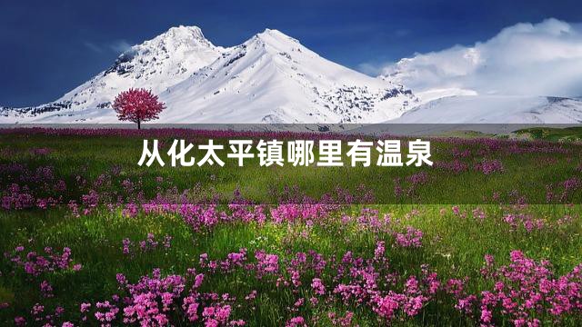 从化太平镇哪里有温泉