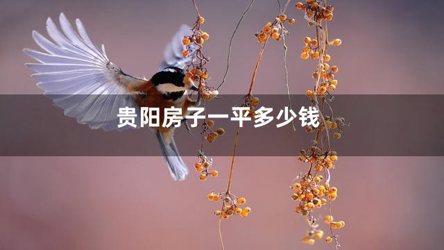 贵阳房子一平多少钱