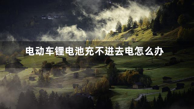电动车锂电池充不进去电怎么办