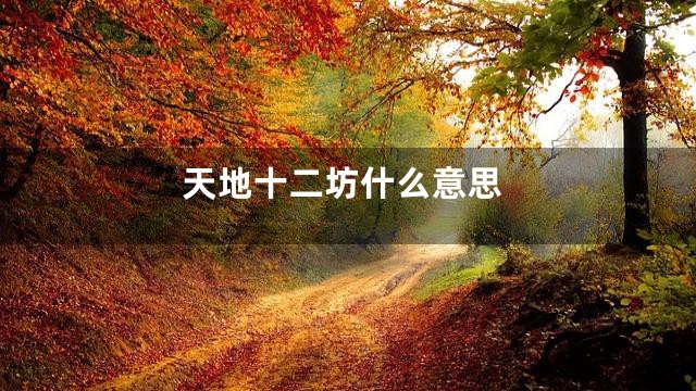 天地十二坊什么意思