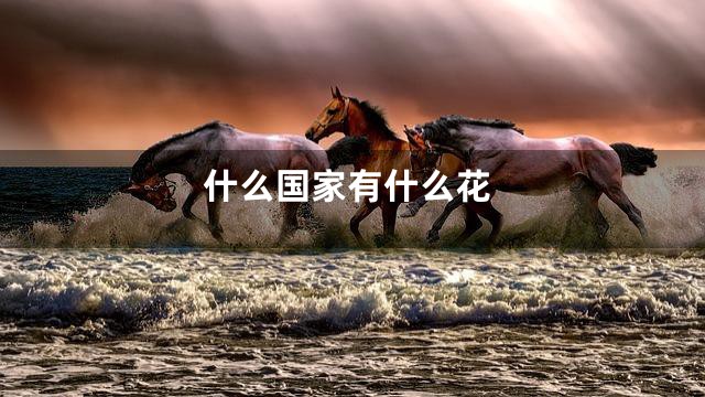 什么国家有什么花