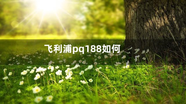 飞利浦pq188如何