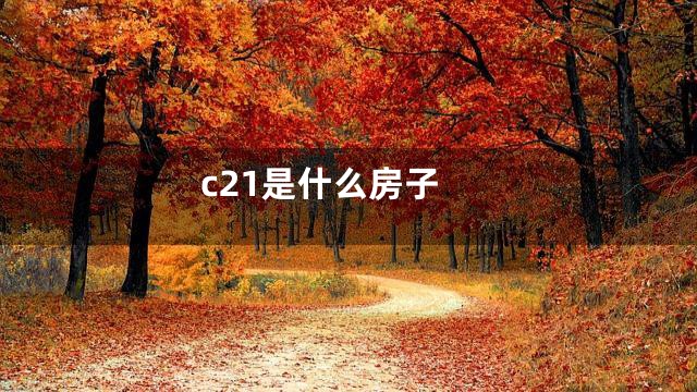 c21是什么房子