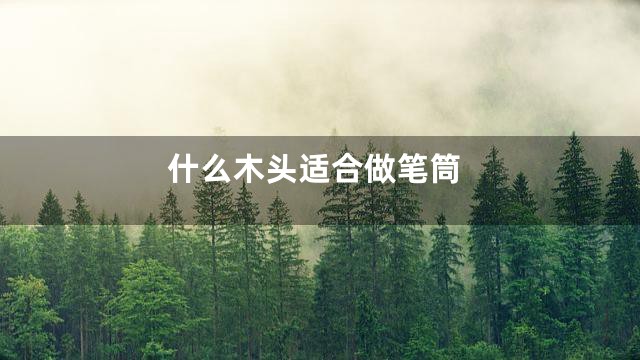 什么木头适合做笔筒