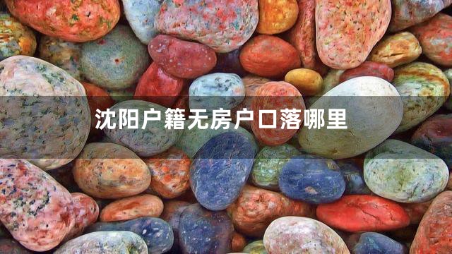 沈阳户籍无房户口落哪里