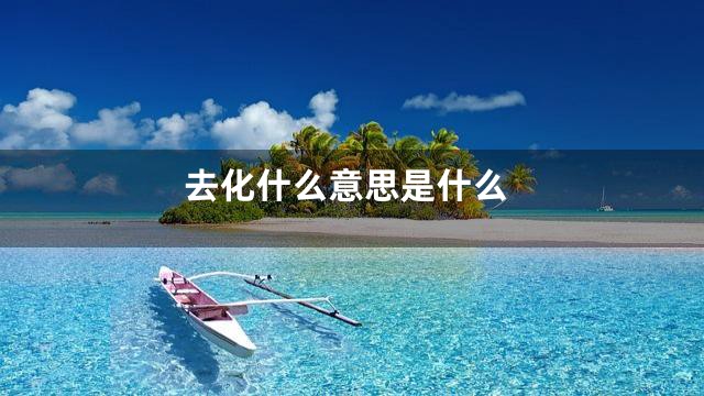 去化什么意思是什么